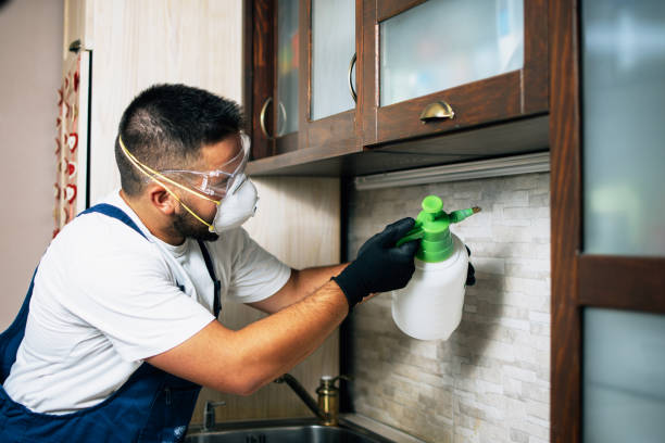 Best Emergency Pest Control  in Juno Ridge, FL